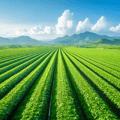 New Trends in Agricultural Solar Applications: A Green Revolution Beyond the Rooftop