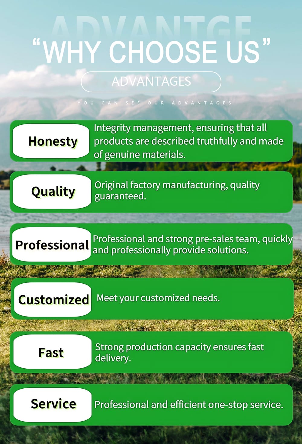 Infographic listing key company strengths: Honesty, Quality, Professional, Customized, Fast Service.